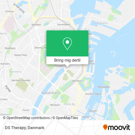 DS Therapy kort