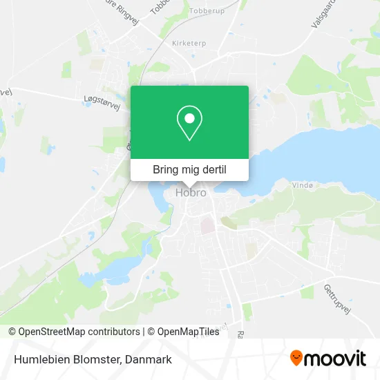 Humlebien Blomster kort