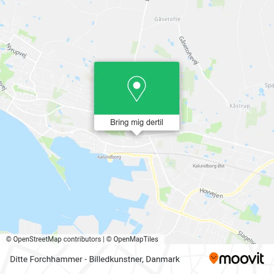 Ditte Forchhammer - Billedkunstner kort