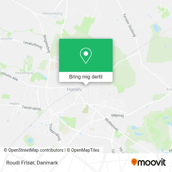 Roudi Frisør kort