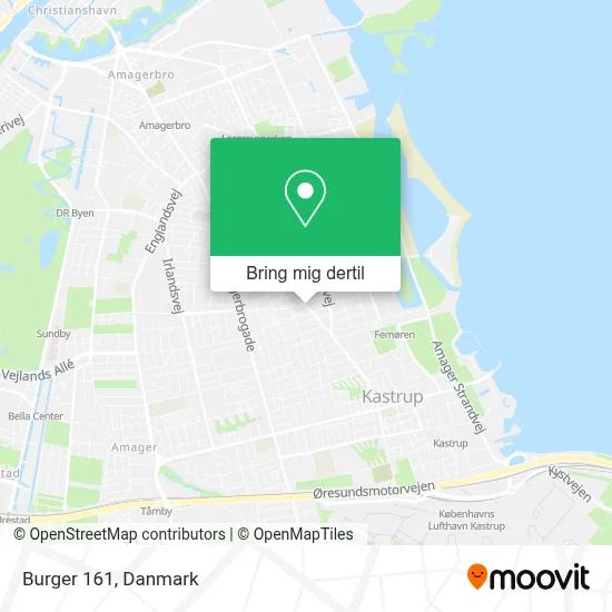 Burger 161 kort