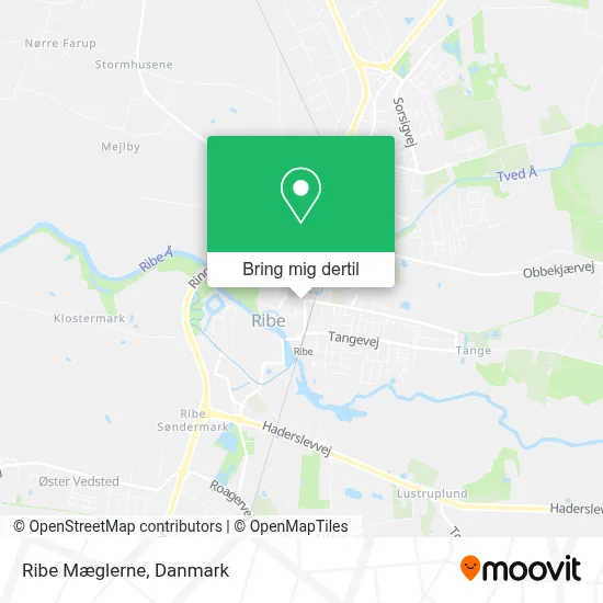 Ribe Mæglerne kort
