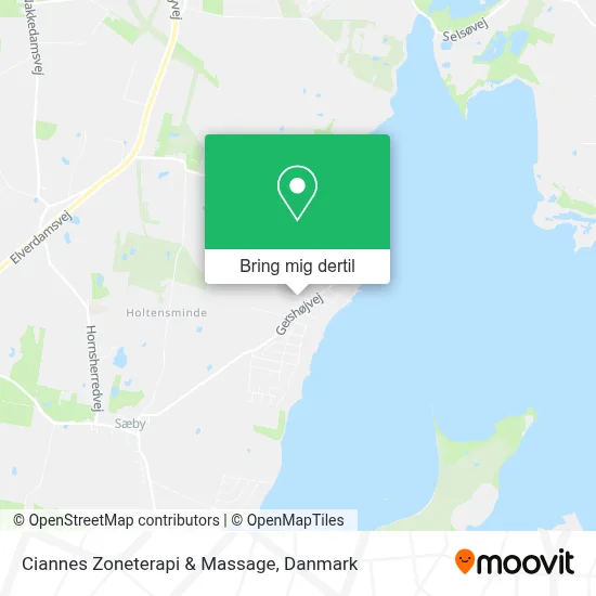 Ciannes Zoneterapi & Massage kort