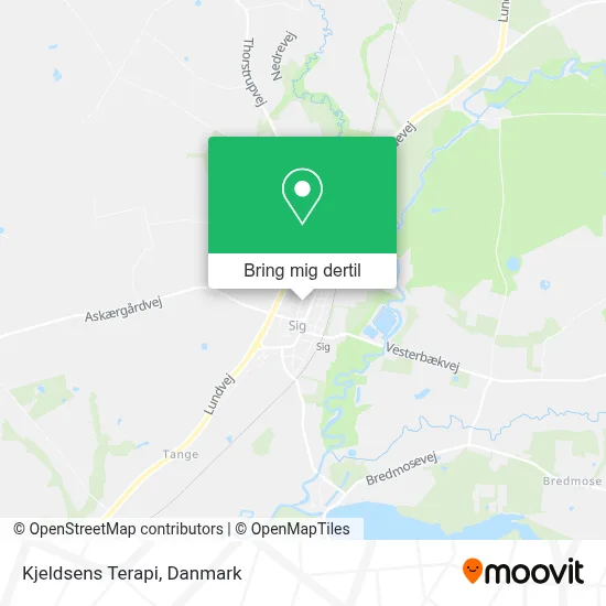 Kjeldsens Terapi kort