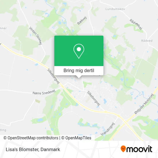 Lisa's Blomster kort