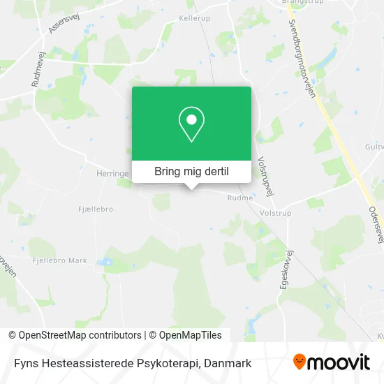 Fyns Hesteassisterede Psykoterapi kort