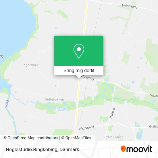 Neglestudio.Ringkobing kort