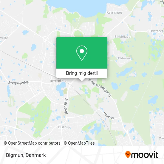 Bigmun kort