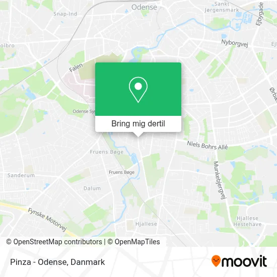 Pinza - Odense kort