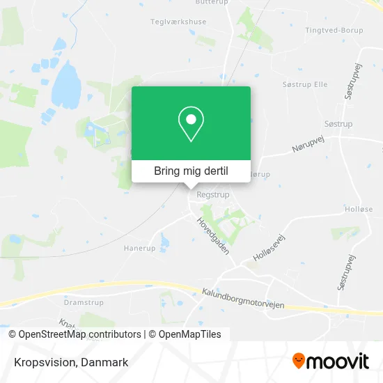 Kropsvision kort