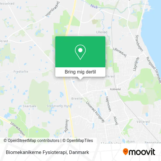 Biomekanikerne Fysioterapi kort