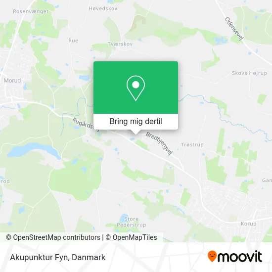 Akupunktur Fyn kort