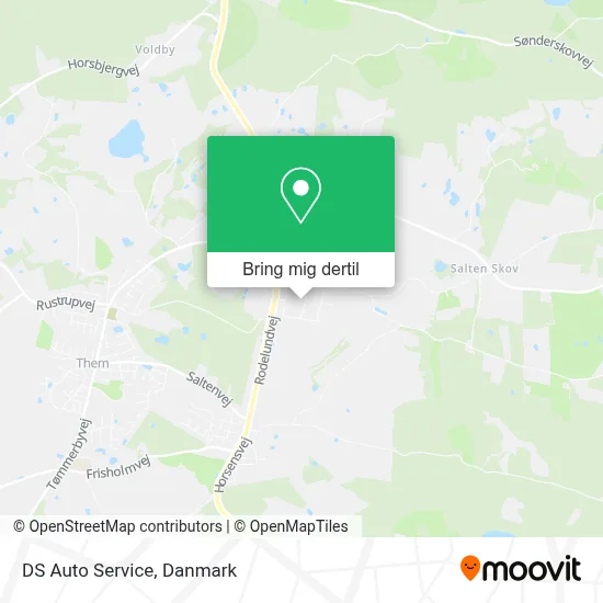 DS Auto Service kort