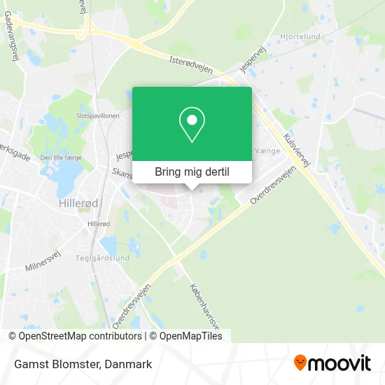 Gamst Blomster kort
