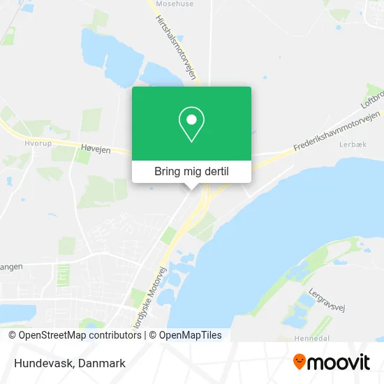 Hundevask kort