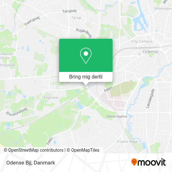 Odense Bjj kort