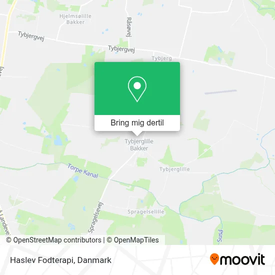 Haslev Fodterapi kort