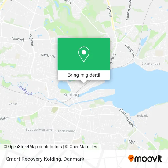 Smart Recovery Kolding kort