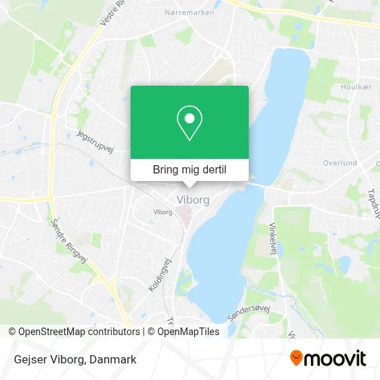 Gejser Viborg kort