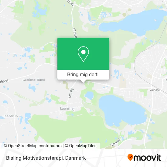 Bisling Motivationsterapi kort