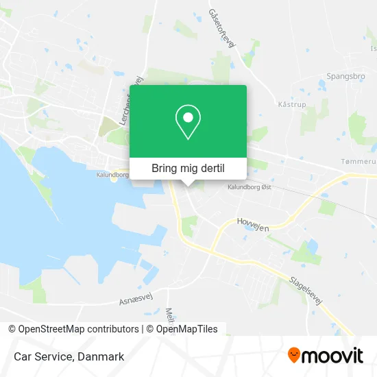 Car Service kort