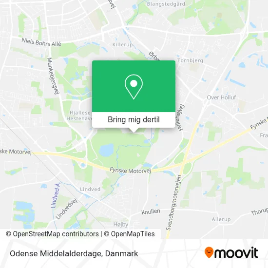 Odense Middelalderdage kort