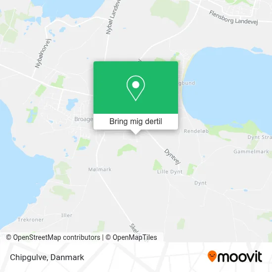 Chipgulve kort