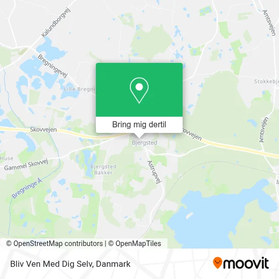 Bliv Ven Med Dig Selv kort