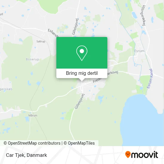 Car Tjek kort