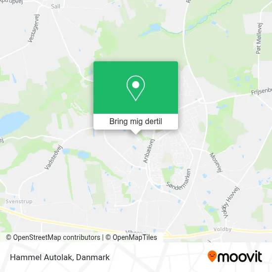 Hammel Autolak kort
