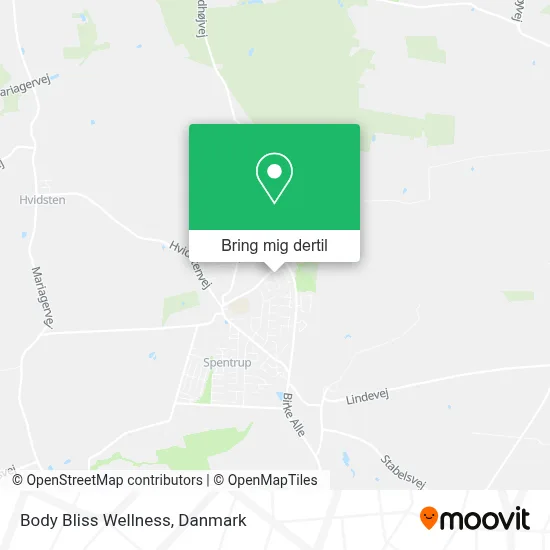 Body Bliss Wellness kort