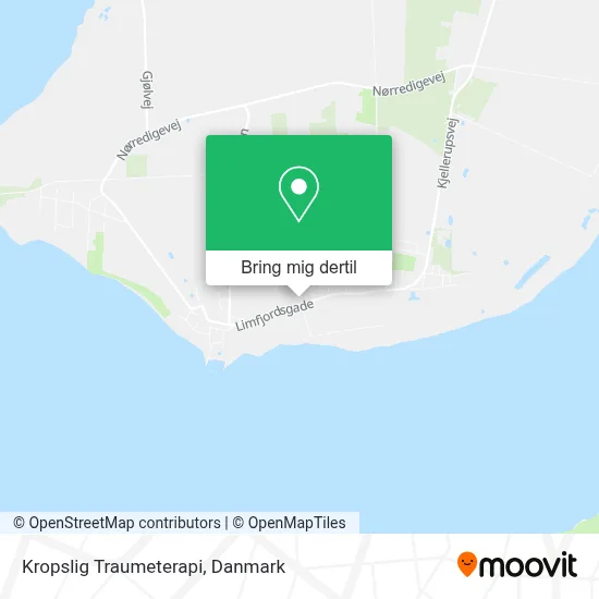 Kropslig Traumeterapi kort