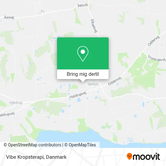 Vibe Kropsterapi kort