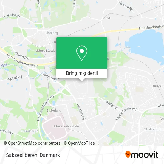 Saksesliberen kort