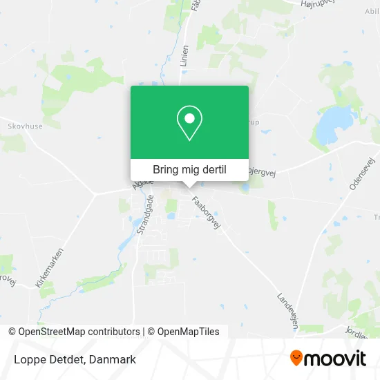 Loppe Detdet kort