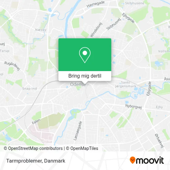 Tarmproblemer kort