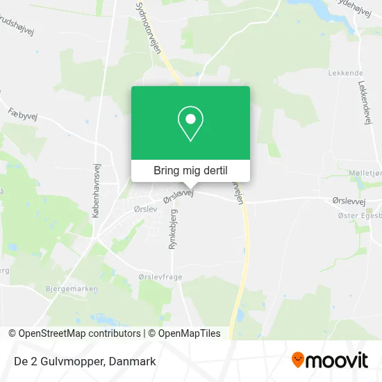 De 2 Gulvmopper kort