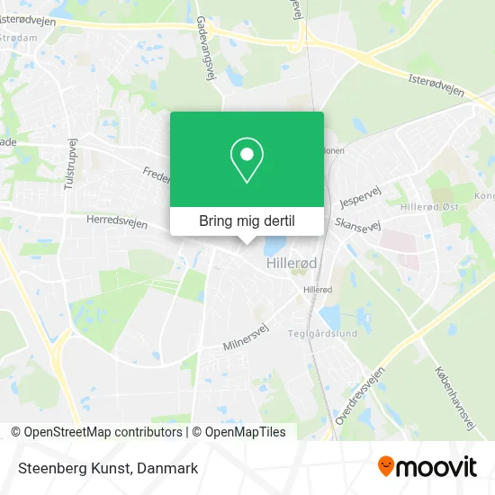 Steenberg Kunst kort