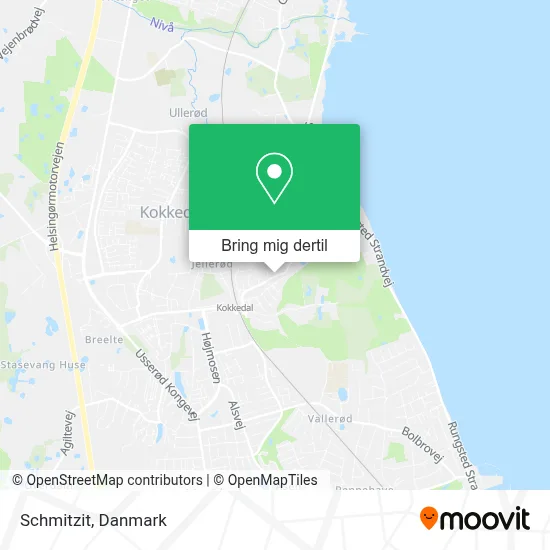 Schmitzit kort