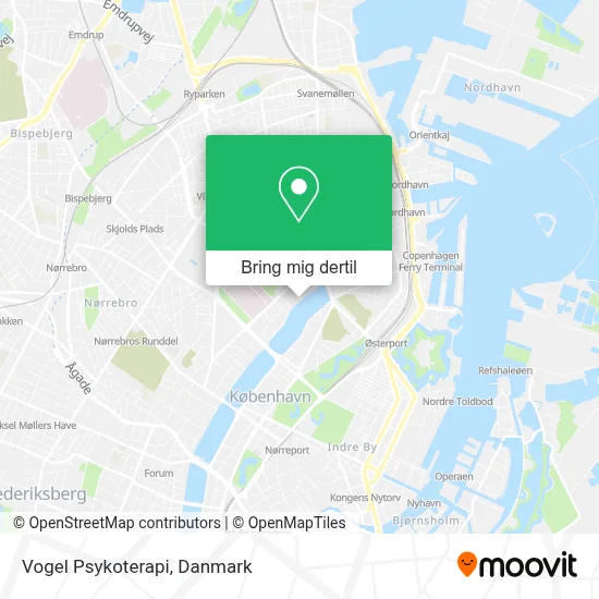 Vogel Psykoterapi kort