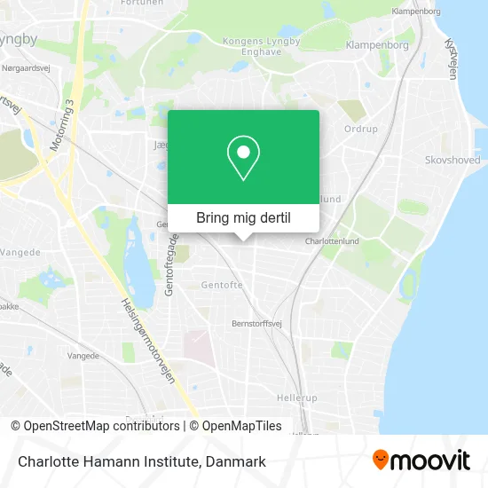 Charlotte Hamann Institute kort