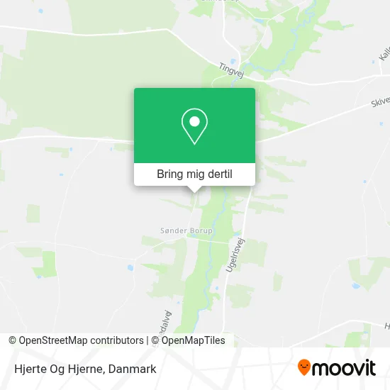 Hjerte Og Hjerne kort