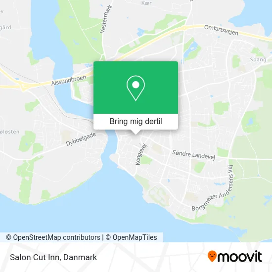 Salon Cut Inn kort
