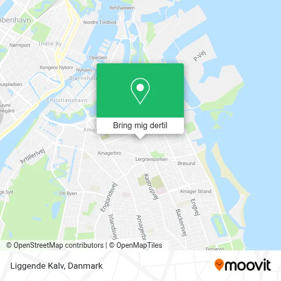 Liggende Kalv kort
