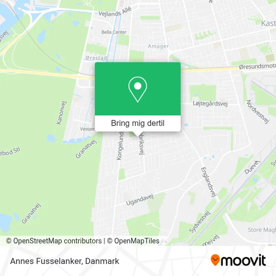 Annes Fusselanker kort