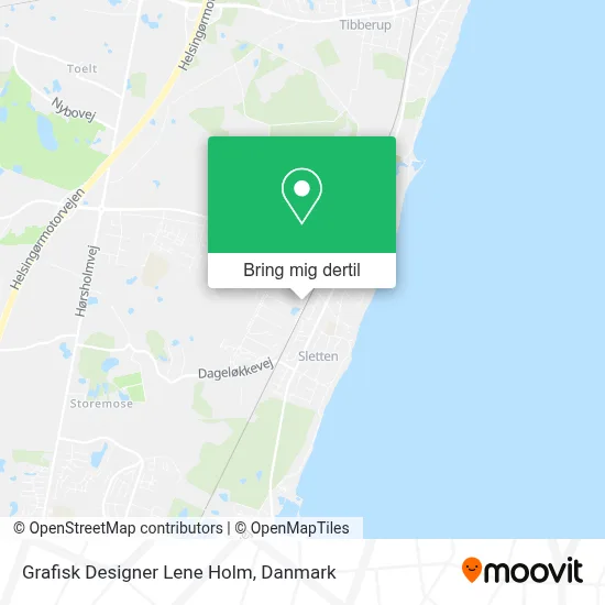 Grafisk Designer Lene Holm kort