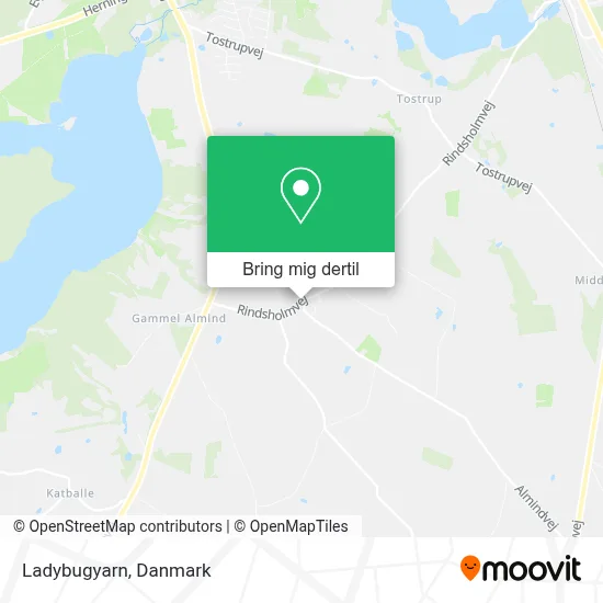 Ladybugyarn kort