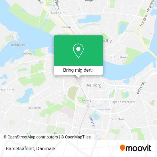 Barselsafsnit kort
