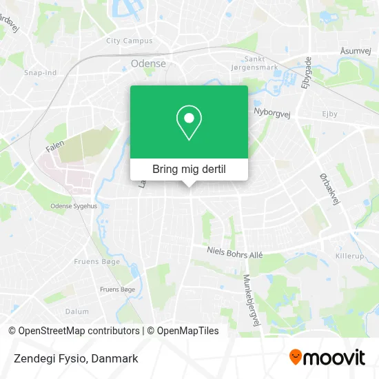 Zendegi Fysio kort