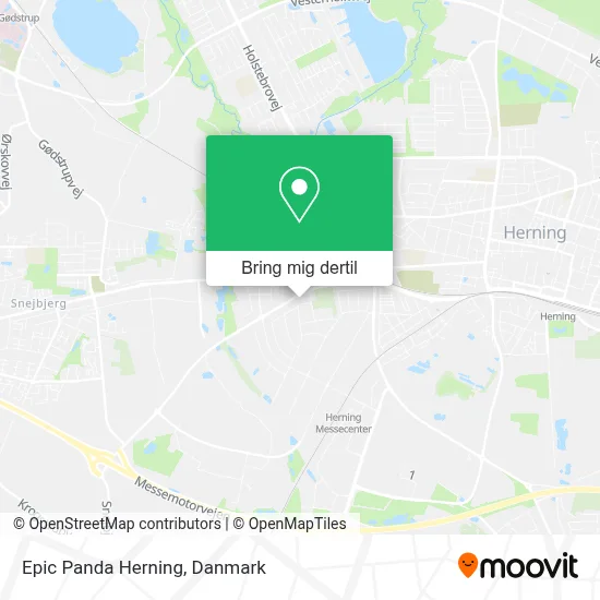 Epic Panda Herning kort